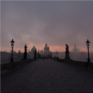 恶德医生和产妇人科医师
